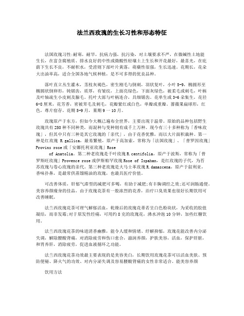 法兰西玫瑰的生长习性和形态特征