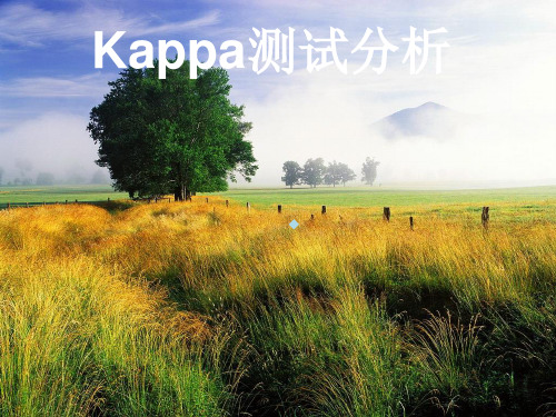 Kappa培训