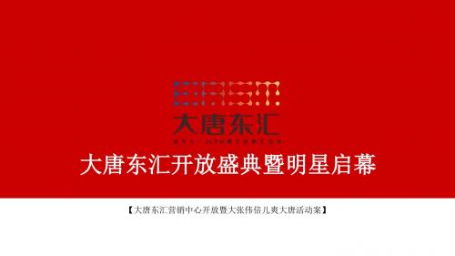 大唐东汇营销中心开放盛典暨大张伟演唱会活动策划方案