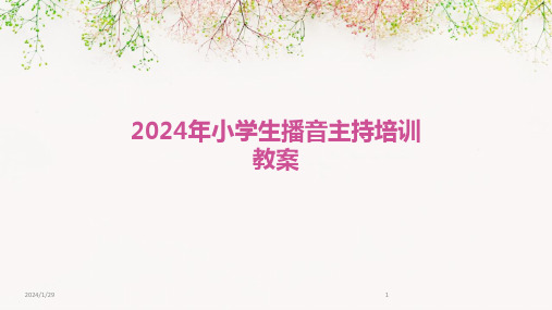 2024年小学生播音主持培训教案(2024)