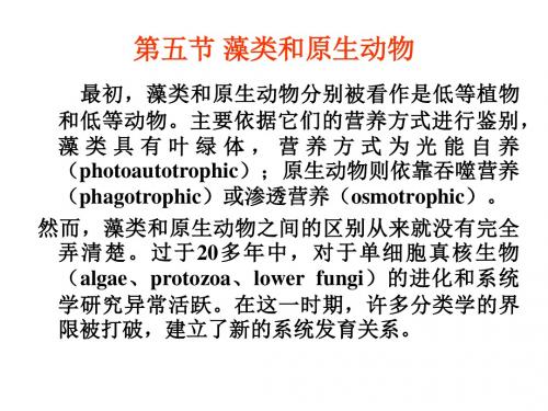 第五节藻类和原生动物