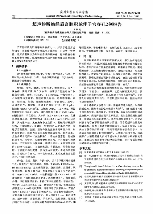 超声诊断绝经后宫腔积脓伴子宫穿孔2例报告