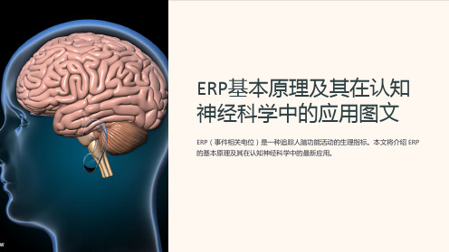 ERP基本原理及其在认知神经科学中的应用图文