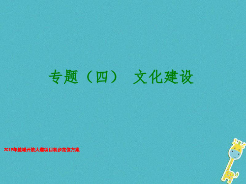 2019年盐城开放大道项目初步定位方案