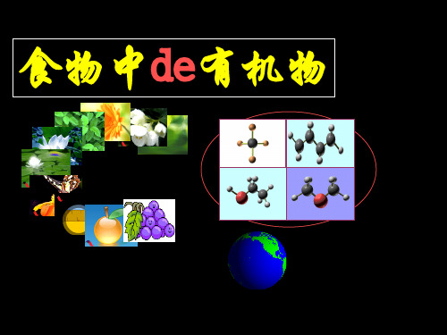 实验二中 初四 食物中的有机物