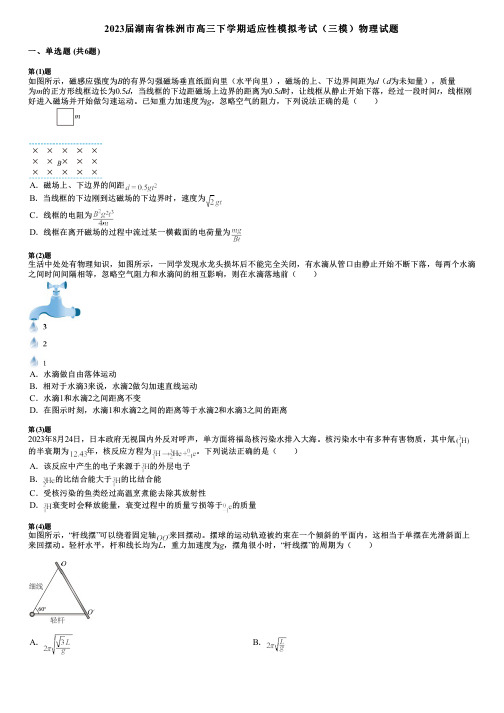 2023届湖南省株洲市高三下学期适应性模拟考试(三模)物理试题