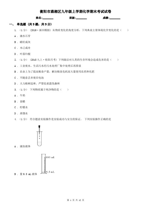 衡阳市蒸湘区九年级上学期化学期末考试试卷