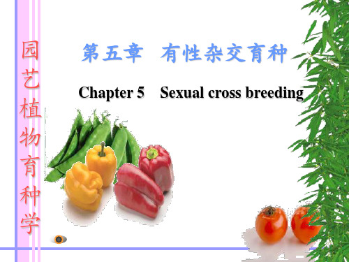 园艺植物育种学-有性杂交育种PPT课件