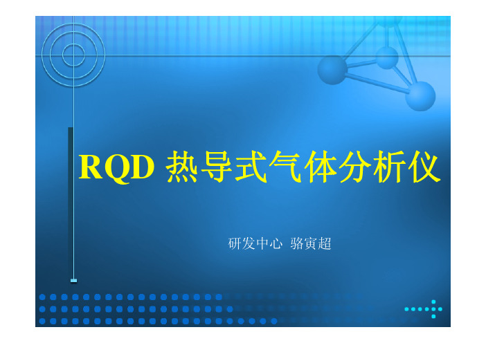 RQD%20热导式气体分析仪