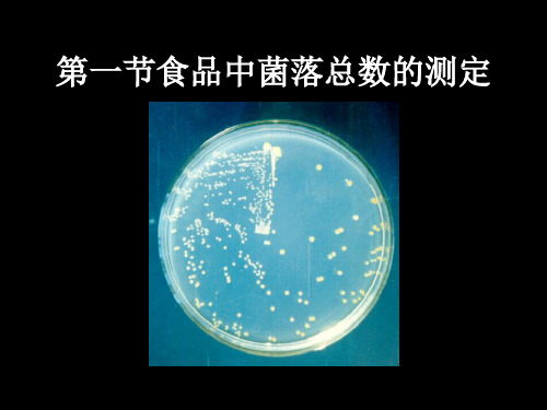 教学课件第一节食品中菌落总数的测定