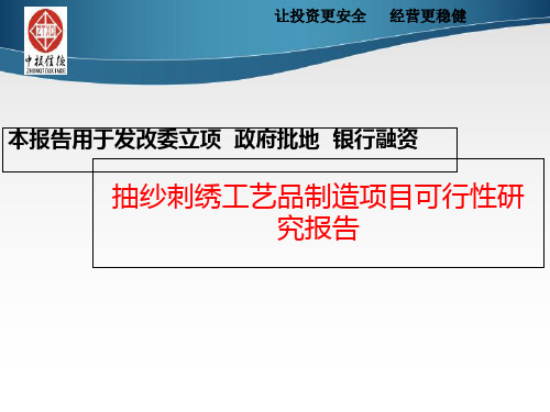 抽纱刺绣工艺品制造项目可行性研究报告-PPT课件