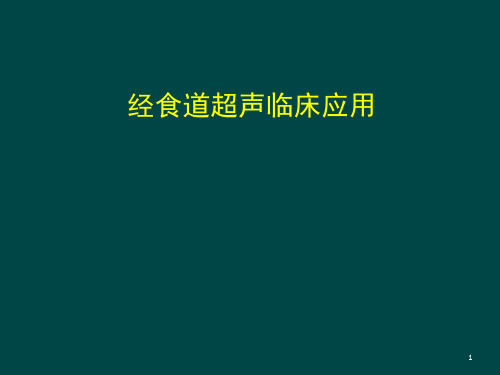 食道超声 ppt课件