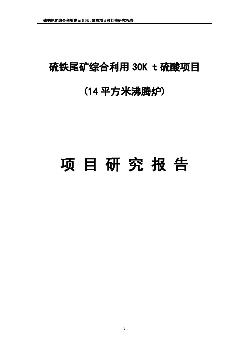 硫铁尾矿综合利用建设可行性研究报告