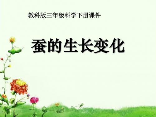 《蚕的生长变化》动物的生命周期PPT课件(上课用)