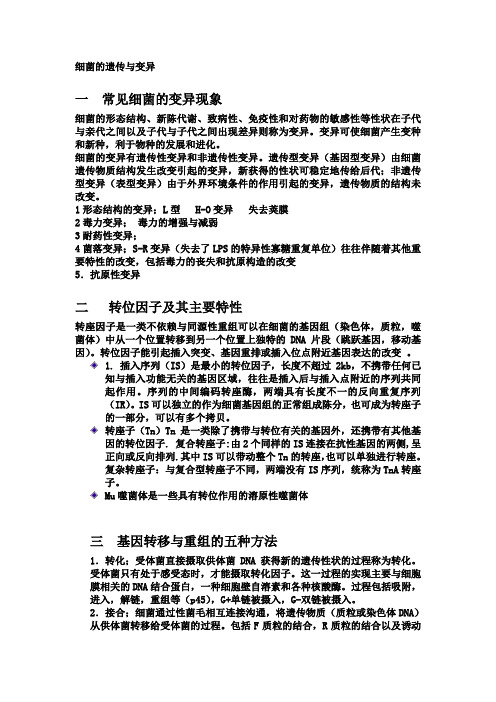 医学微生物细菌部分复习要点总结