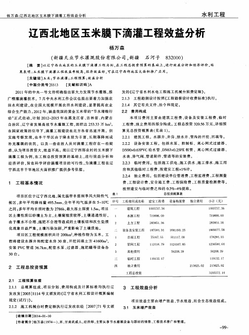 辽西北地区玉米膜下滴灌工程效益分析