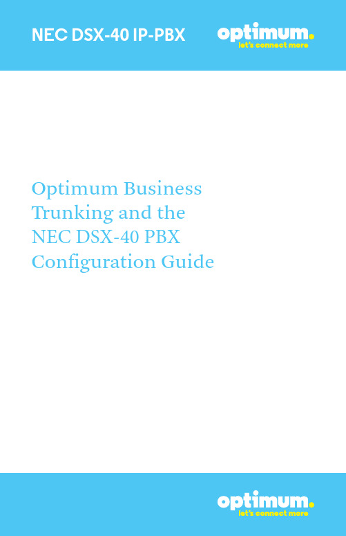 nec dsx-40 ip-pbx optimum business trunking and th