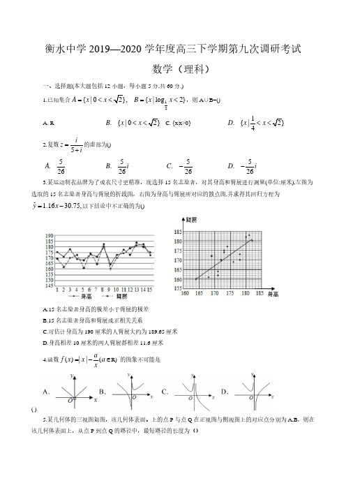 河北省衡水中学2020届高三下学期第九次调研考试数学(理)试题 含答案