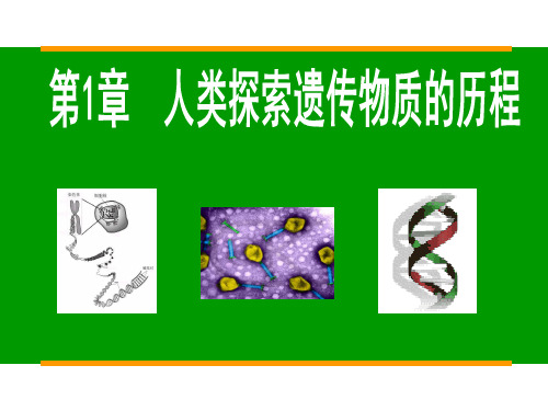 第1章 人类探索遗传物质的历程修正