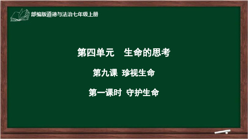 部编版七年级道德与法治上册《守护生命》说课课件