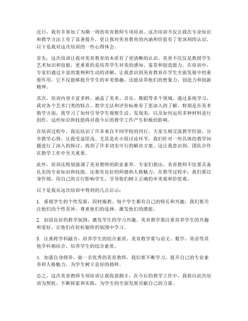 美育教师专项培训心得体会