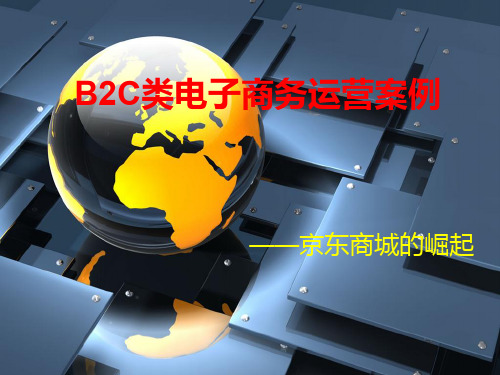 B2C类电子商务运行案例解析