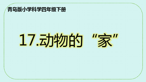 17动物的“家” 课件-科学二四年级下册青岛版