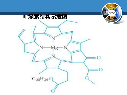 人教化学选修3第二章第二节分子的立体构型(共23张PPT)