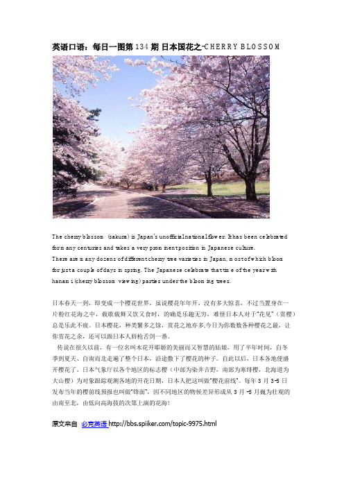 英语口语：每日一图第134期 日本国花之-CHERRY BLOSSOM