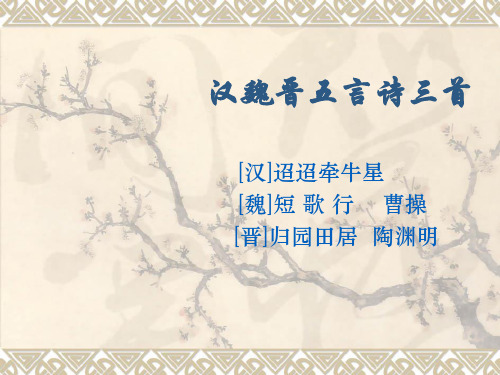 迢迢