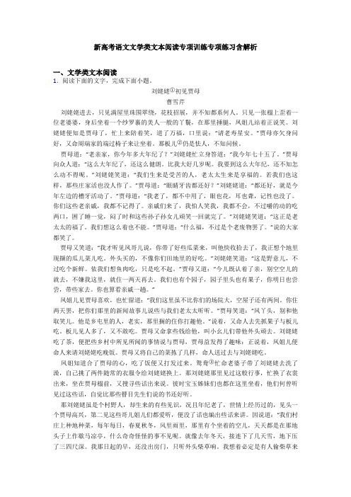 新高考语文文学类文本阅读专项训练专项练习含解析