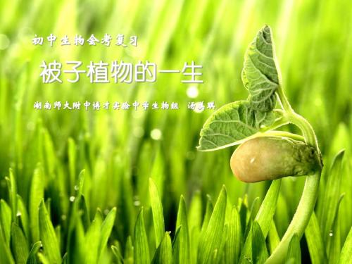 初二生物复习课课件19套-4.ppt