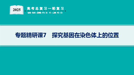 2025高考总复习一轮生物学配人教版(适用于新高考新教材)ppt 第5单元 孟德尔遗传定律与伴性遗传