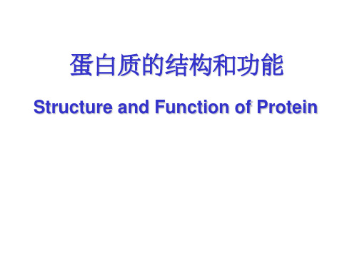 生化蛋白质结构与功能