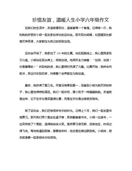 珍惜友谊,温暖人生小学六年级作文