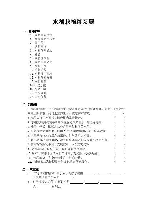 水稻栽培练习_114