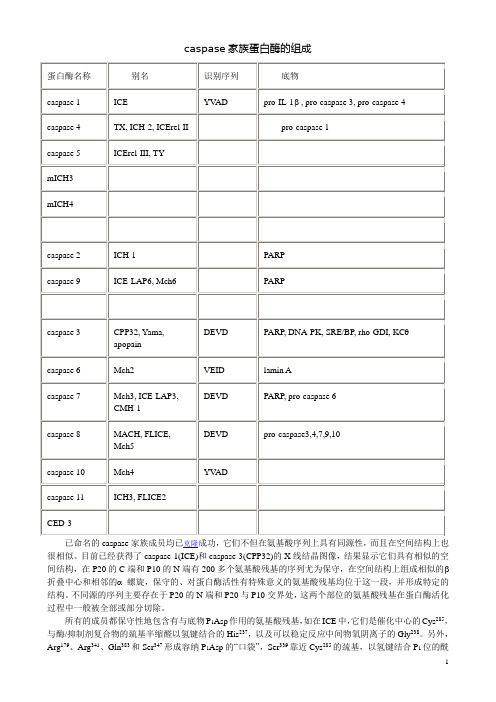 caspase资料