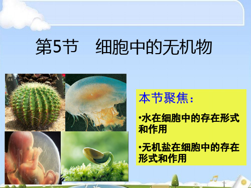 2.5细胞中的无机物36PPT