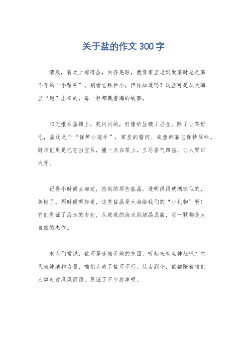 关于盐的作文300字