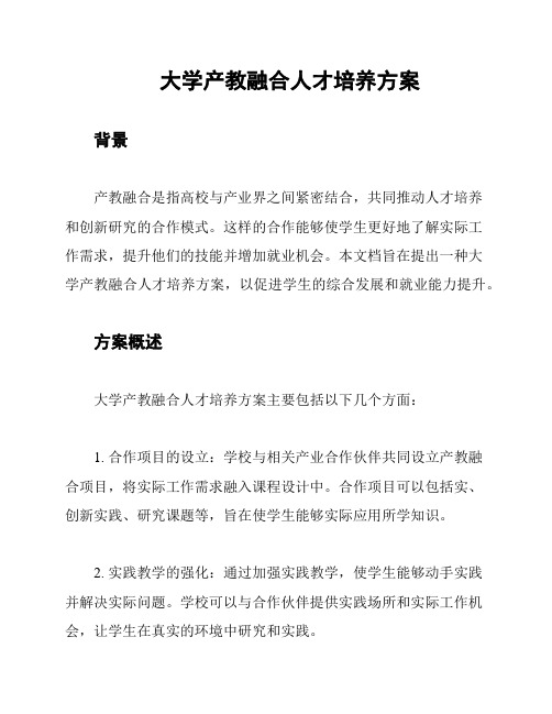 大学产教融合人才培养方案