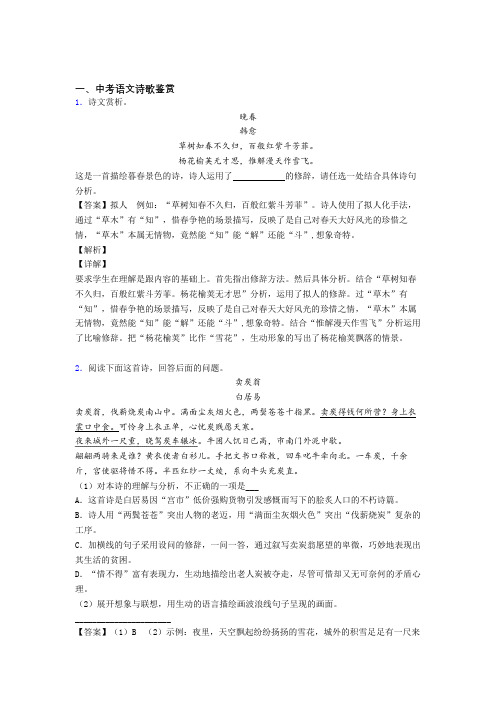 2020-2021中考语文二轮 诗歌鉴赏 专项培优易错试卷附详细答案