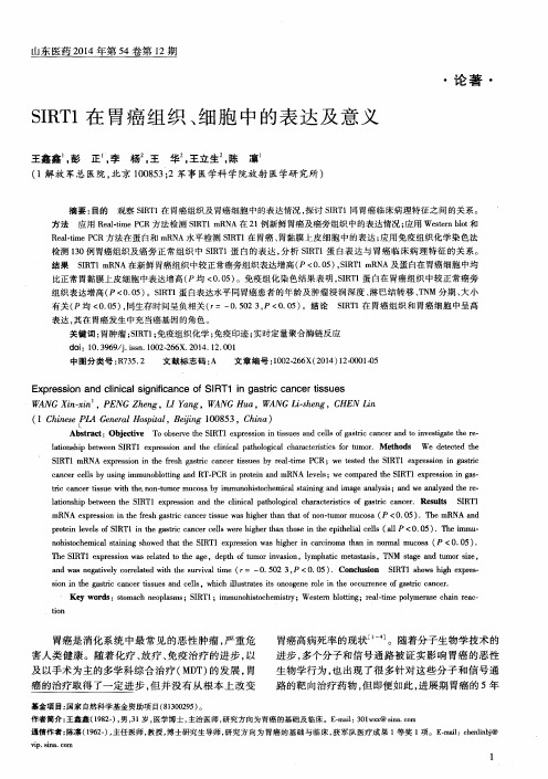 SIRT1在胃癌组织、细胞中的表达及意义