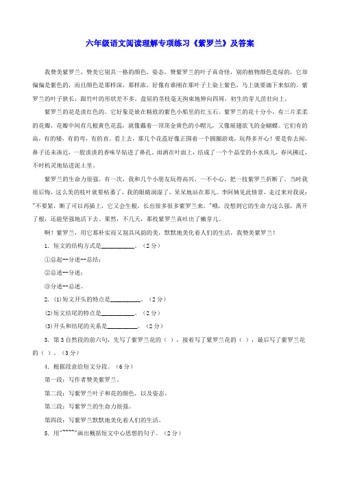 六年级语文 阅读理解专项练习 紫罗兰