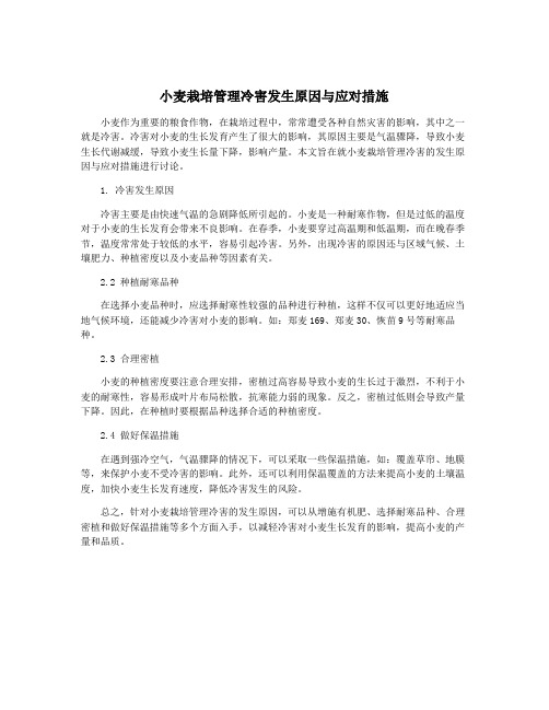 小麦栽培管理冷害发生原因与应对措施