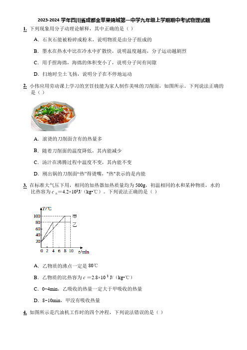 2023-2024学年四川省成都金苹果锦城第一中学九年级上学期期中考试物理试题