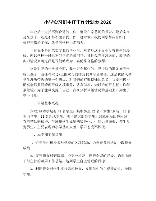 小学实习班主任工作计划表2020