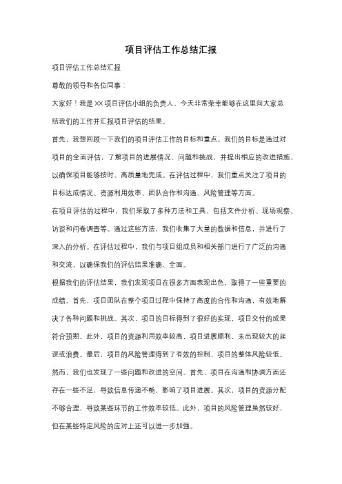 项目评估工作总结汇报