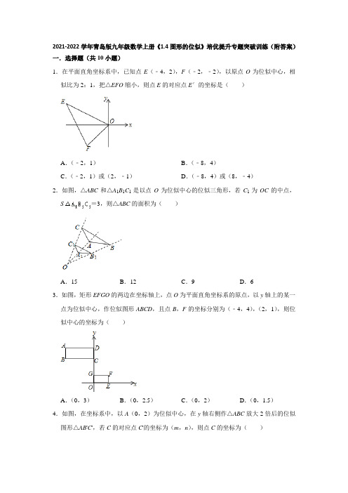 图形的位似 培优提升专题突破训练 2021-2022学年青岛版九年级数学上册