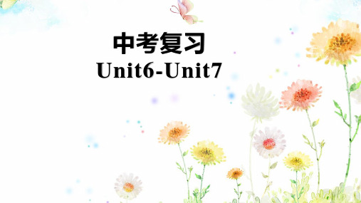 中考一轮复习课件之八年级上册unit6-unit7