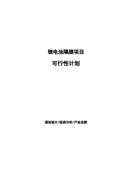 锂电池隔膜项目可行性计划